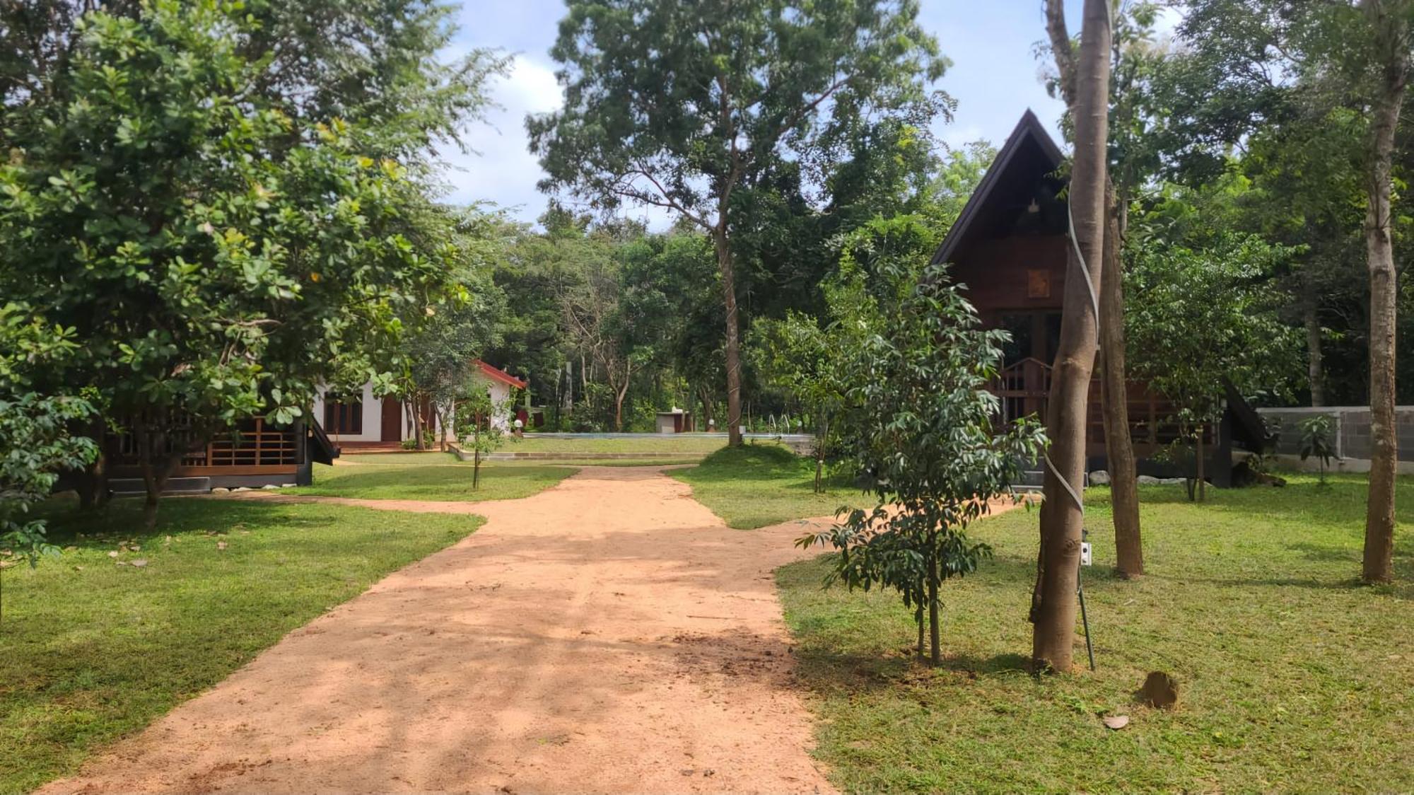 Lion King Jungle Cabanas Sigiriya Bagian luar foto