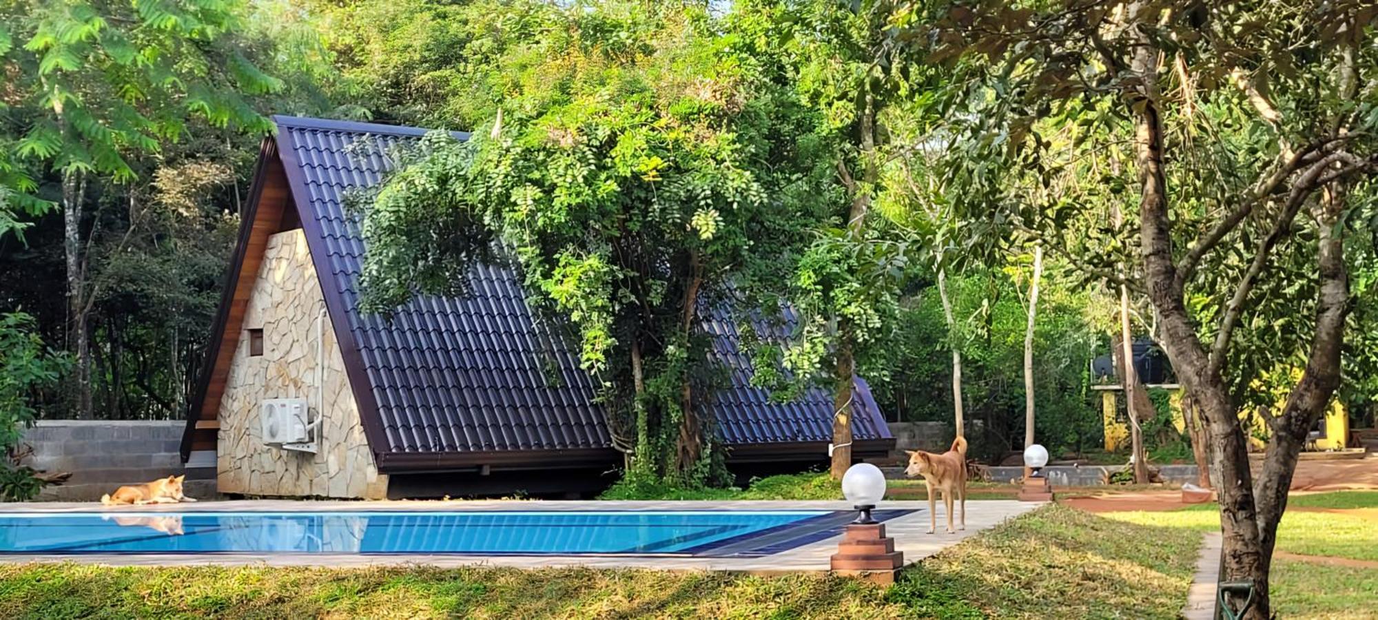 Lion King Jungle Cabanas Sigiriya Bagian luar foto