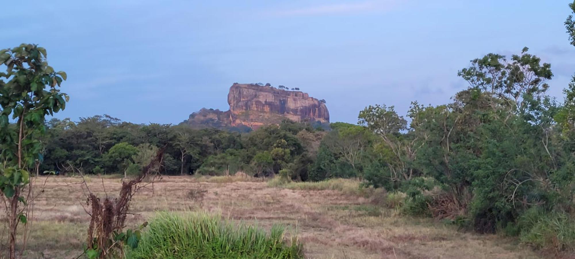 Lion King Jungle Cabanas Sigiriya Bagian luar foto