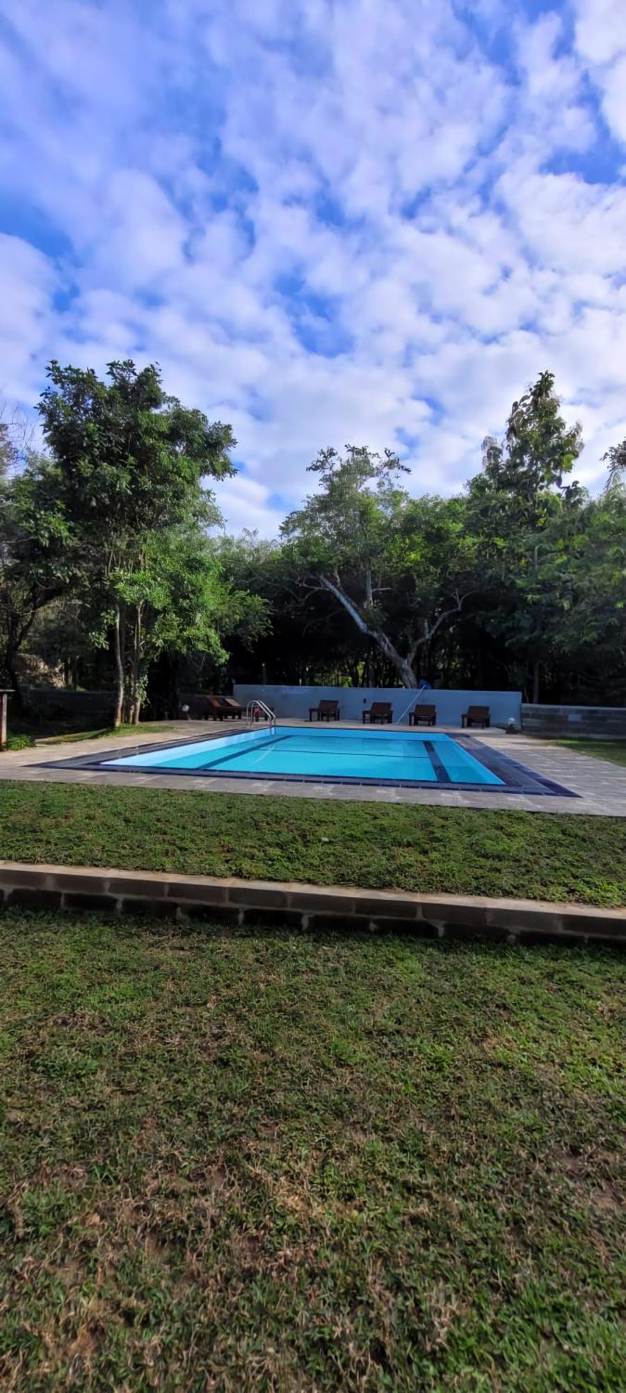 Lion King Jungle Cabanas Sigiriya Bagian luar foto