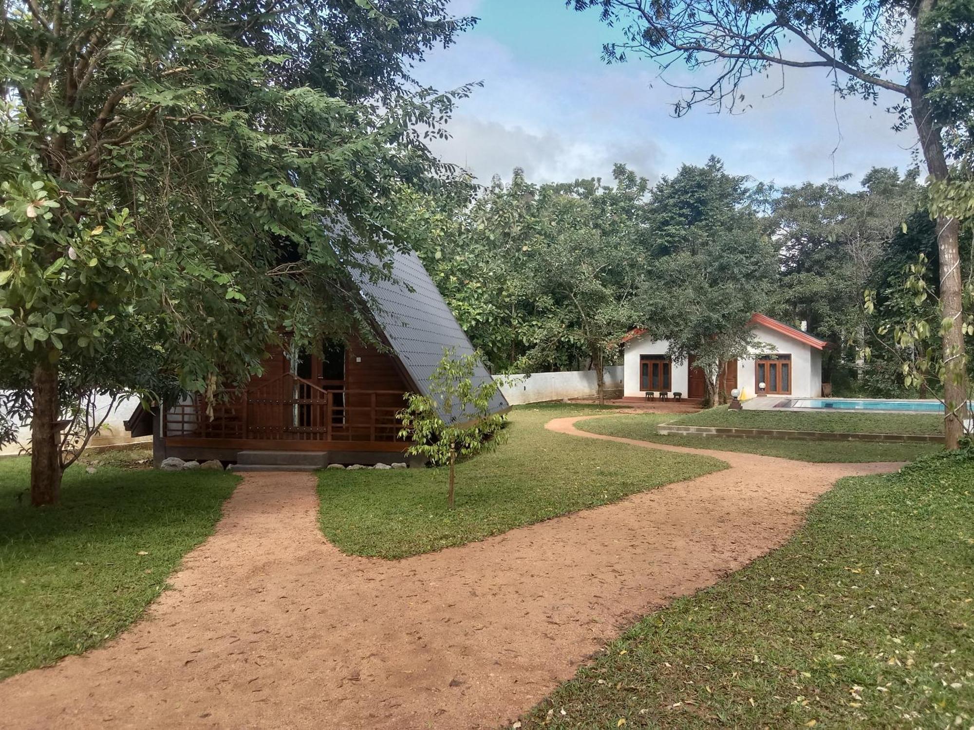 Lion King Jungle Cabanas Sigiriya Bagian luar foto